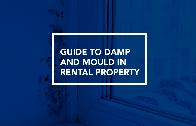 What causes damp and mould in a house?